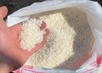 Harga beras di wilayah Sulawesi Utara melonjak tajam.