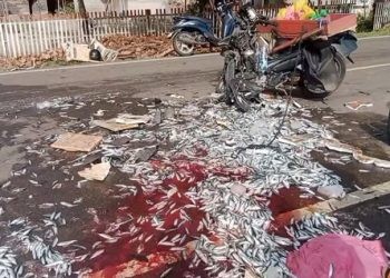 Tabrakan Maut di Wanggarasi, Penjual Ikan Tewas di Tempat