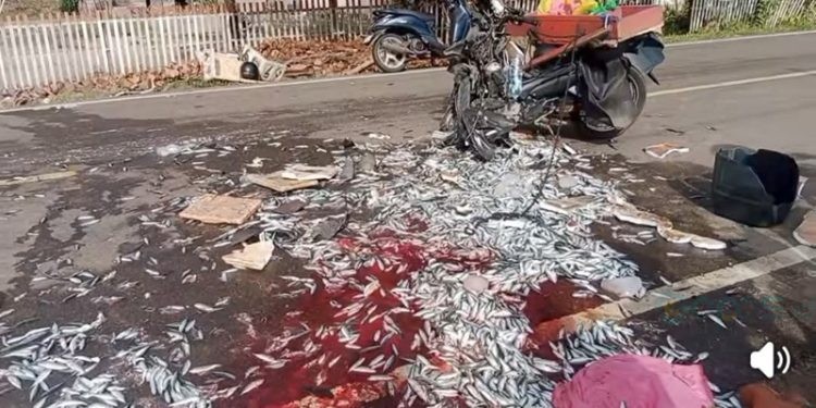 Kendaraan milik penjual ikan di lokasi kejadian, Desa Yipilo, Kecamatan Wanggarasi, Pohuwato, Rabu (16/07/2025) (Istimewa)