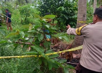 Penemuan mayat di desa tingkohubu timur