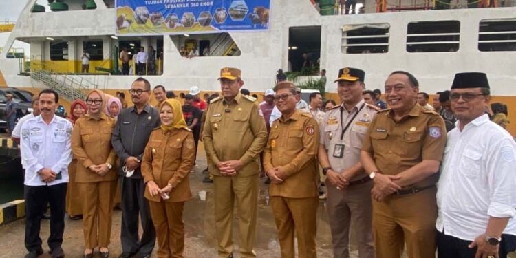 Gubernur dan Wakil Gubernur Gorontalo, Ketua DPRD Provinsi serta Bupati dan Wakil Bupati Gorontalo Utara mengecek sapi yang akan dipasok lewat Pelabuhan Kwandang ke Kalimantan Utara pada Senin Sore. (8/9/2025) (Adrian/Humas)
