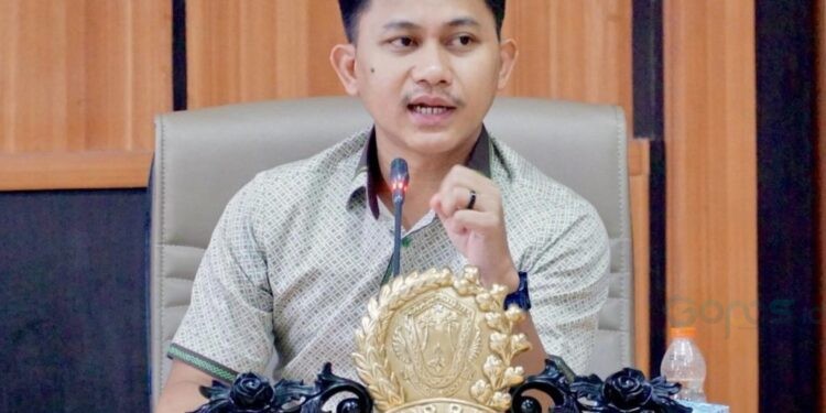 Foto: Wakil Ketua Komisi I Dekot Robin Yusuf