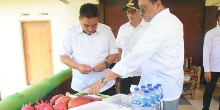 Dirjen Perkebunan Kementerian Pertanian RI, Dr. Abdul Roni Angkat, (Kiri) saat melakukan kunjungan kerja di Kabupaten Boalemo, Rabu (01/10/25). (Foto : Humas/Arman Podu)