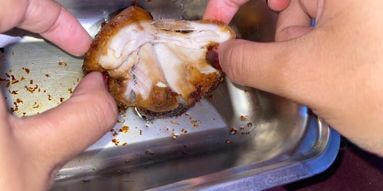 Salah seorang siswa SMA Negeri 1 Telaga memperlihatkan menu MBG berupa potongan daging ayam yang tak layak konsumsi.(Istimewa)