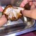 Salah seorang siswa SMA Negeri 1 Telaga memperlihatkan menu MBG berupa potongan daging ayam yang tak layak konsumsi.(Istimewa)