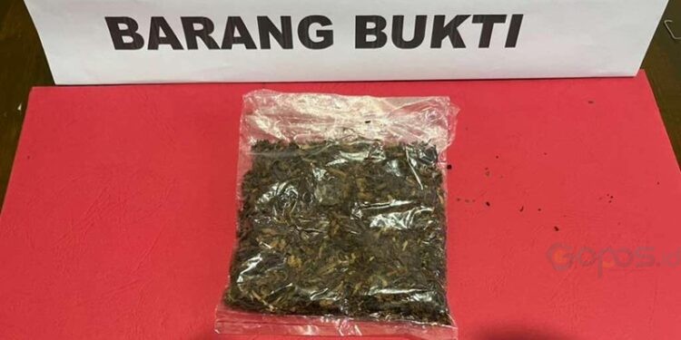 Barang Bukti Saat di Amankan Polres Pohuwato, Rabu (29/10/2025) (Istimewa)
