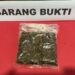 Barang Bukti Saat di Amankan Polres Pohuwato, Rabu (29/10/2025) (Istimewa)
