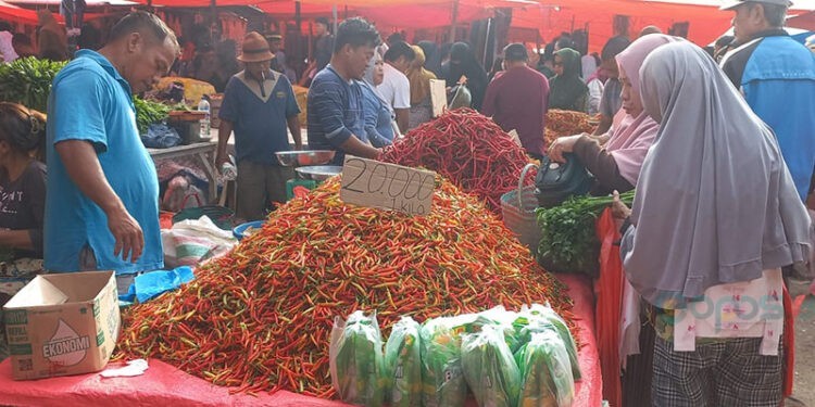 HARGA RICA - Penurunan harga rica atau cabai rawit menjadi salah satu penyebab menurunya indeks harga yang diterima petani hortikultura pada Oktober 2025. (Foto: Hasanudin/Gopos)