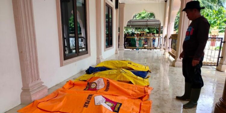 Tim DVI Polres Agam sedang mengindentifikasi jasad korban bencana banjir bandang di Salareh Aia, Kecamatan Palembayan. ANTARA/Yusrizal