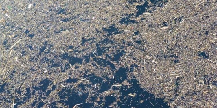 Kayu gelondongan yang terbawa arus banjir bandang di Sumatera.(F. ANTARA/Tribratanews)