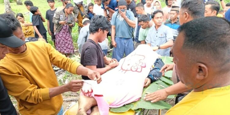 Kecelakaan Maut di Desa Dulomo, Kecamatan Patilanggio, Pohuwato, Kamis (19/02/2026) (Istimewa)