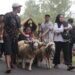 Arak-arakan panggon di Kecamatan Ambulu