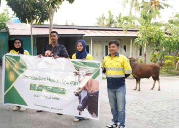Pani Gold Mine salurakan bantuan sapi kepada masyarakat Pohuwato, (Istimewa)