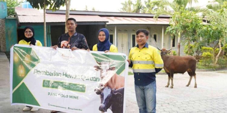 Pani Gold Mine salurakan bantuan sapi kepada masyarakat Pohuwato, (Istimewa)