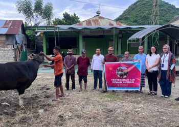 Citimall Gorontalo kembali melakukan aksi peduli sosial terhadap masyarakat sekitar melalui kegiatan Corporate Social Responsibility (CSR) dengan membagikan 1 ekor sapi kepada warga di sekitar Citimall Gorontalo melalui Masjid Ibnu Shina di Jl. Farid Liputo, Kel. Bugis, Kota Gorontalo, Rabu (27/5/2026)