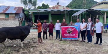 Citimall Gorontalo kembali melakukan aksi peduli sosial terhadap masyarakat sekitar melalui kegiatan Corporate Social Responsibility (CSR) dengan membagikan 1 ekor sapi kepada warga di sekitar Citimall Gorontalo melalui Masjid Ibnu Shina di Jl. Farid Liputo, Kel. Bugis, Kota Gorontalo, Rabu (27/5/2026)