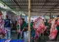 Petugas memotong daging hewan kurban di Masjid Cut Meutia, Jakarta, Rabu (27/5/2026). Panitia kurban Masjid Cut Meutia menyembelih 21 ekor sapi dan 21 ekor kambing pada perayaan Idul Adha 1447 H. ANTARA FOTO/Salma Talita/nym.
