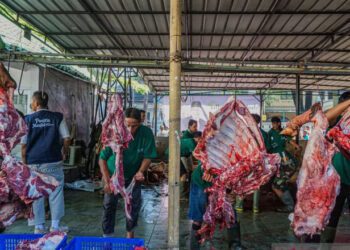 Petugas memotong daging hewan kurban di Masjid Cut Meutia, Jakarta, Rabu (27/5/2026). Panitia kurban Masjid Cut Meutia menyembelih 21 ekor sapi dan 21 ekor kambing pada perayaan Idul Adha 1447 H. ANTARA FOTO/Salma Talita/nym.