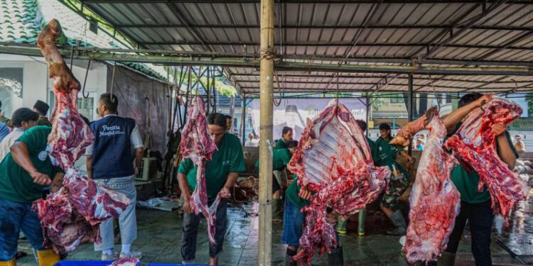 Petugas memotong daging hewan kurban di Masjid Cut Meutia, Jakarta, Rabu (27/5/2026). Panitia kurban Masjid Cut Meutia menyembelih 21 ekor sapi dan 21 ekor kambing pada perayaan Idul Adha 1447 H. ANTARA FOTO/Salma Talita/nym.