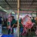Petugas memotong daging hewan kurban di Masjid Cut Meutia, Jakarta, Rabu (27/5/2026). Panitia kurban Masjid Cut Meutia menyembelih 21 ekor sapi dan 21 ekor kambing pada perayaan Idul Adha 1447 H. ANTARA FOTO/Salma Talita/nym.