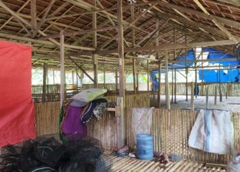 Kondisi Kandang Ayam di Desa Karya Baru, Kecamatan Dengilo, terbengkalai anggaran Rp 250 juta, (Yusuf/Gopos)