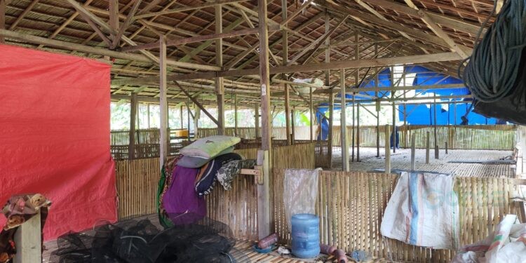 Kondisi Kandang Ayam di Desa Karya Baru, Kecamatan Dengilo, terbengkalai anggaran Rp 250 juta, (Yusuf/Gopos)