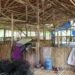 Kondisi Kandang Ayam di Desa Karya Baru, Kecamatan Dengilo, terbengkalai anggaran Rp 250 juta, (Yusuf/Gopos)