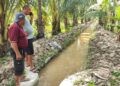 Saluran air irigasi di Paguat mulai lancar usai pengangkatan sedimen, Sabtu (09/05/2026) (Istimewa)