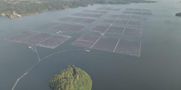 Foto landscape PLTS Terapung Cirata 192 MWp yang diambil pada Selasa (12/5/2026). Pembangkit ramah lingkungan ini beroperasi dengan normal dan mampu mereduksi emisi karbon sebanyak 214.000 ton Co2 pertahunnya. (Foto.istimewa)