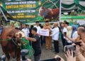 Penyerahan bantuan kemasyarakatan sapi kurban seberat 1.130 kg dari Presiden RI melalui Gubernur Gorontalo Gusnar Ismail, pada 25/05/206
