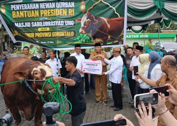 Penyerahan bantuan kemasyarakatan sapi kurban seberat 1.130 kg dari Presiden RI melalui Gubernur Gorontalo Gusnar Ismail, pada 25/05/206