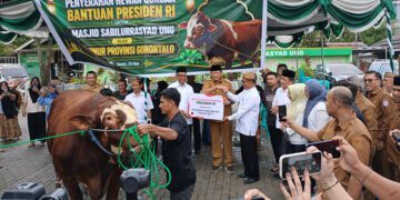 Penyerahan bantuan kemasyarakatan sapi kurban seberat 1.130 kg dari Presiden RI melalui Gubernur Gorontalo Gusnar Ismail, pada 25/05/206