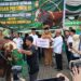 Penyerahan bantuan kemasyarakatan sapi kurban seberat 1.130 kg dari Presiden RI melalui Gubernur Gorontalo Gusnar Ismail, pada 25/05/206