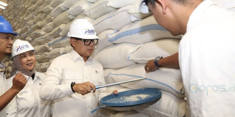 Wakil Menteri Dalam Negeri Bima Arya mengecek ketersediaan beras di gudang Perum Bulog. (ANTARA/HO-Kemendagri)