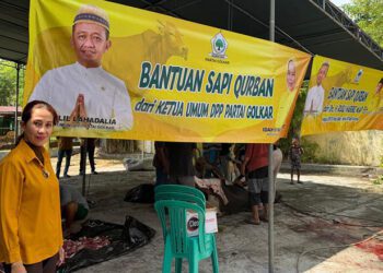 Anggota DPRD Provinsi Gorontalo Fraksi Golkar, Yeyen Sidiki, turut mengawal penyaluran bantuan hewan kurban Ketua Umum DPP Partai Golkar, Bahlil Lahadalia, dan Anggota DPR RI Fraksi Golkar, Rusli Habibie