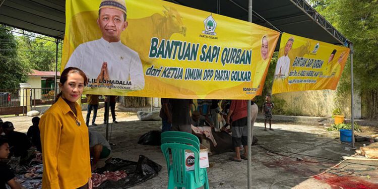 Anggota DPRD Provinsi Gorontalo Fraksi Golkar, Yeyen Sidiki, turut mengawal penyaluran bantuan hewan kurban Ketua Umum DPP Partai Golkar, Bahlil Lahadalia, dan Anggota DPR RI Fraksi Golkar, Rusli Habibie