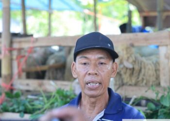 Ali warga Jember saat diwawancarai media usai hewan kurbannya usai periksa pemerintah