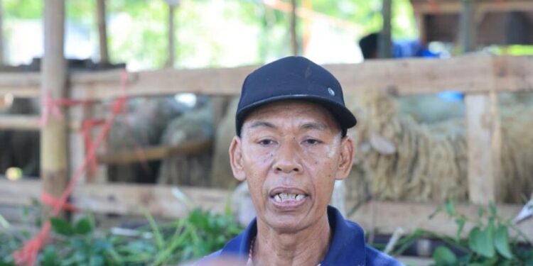 Ali warga Jember saat diwawancarai media usai hewan kurbannya usai periksa pemerintah