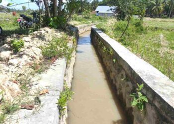 Saluran air menuju persawahan kini lancar, (Istimewa)