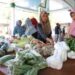 Pemkab Jember saat menggelar pasar murah