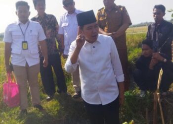 Bupati Jember Muhammad fawait saat meninjau lokasi Irigasi Pertanian di Jenggawah