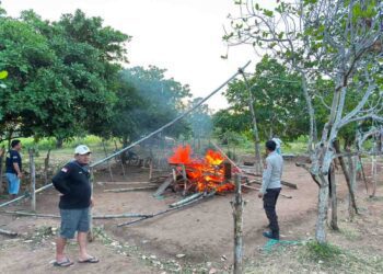 Diduga arena perjudian ayam di Kecamatan Popayato, Rabu (15/07/2026) (Istimewa)
