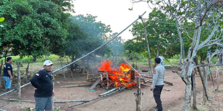 Diduga arena perjudian ayam di Kecamatan Popayato, Rabu (15/07/2026) (Istimewa)