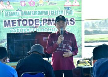 Bupati Pohuwato, Saipul Mbuinga, saat memberikan sambutan gerakan tanam serempak padi metode PM-AAS, Kamis (30/07/2026) (Prokopim Pohuwato)