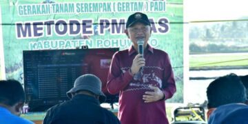 Bupati Pohuwato, Saipul Mbuinga, saat memberikan sambutan gerakan tanam serempak padi metode PM-AAS, Kamis (30/07/2026) (Prokopim Pohuwato)