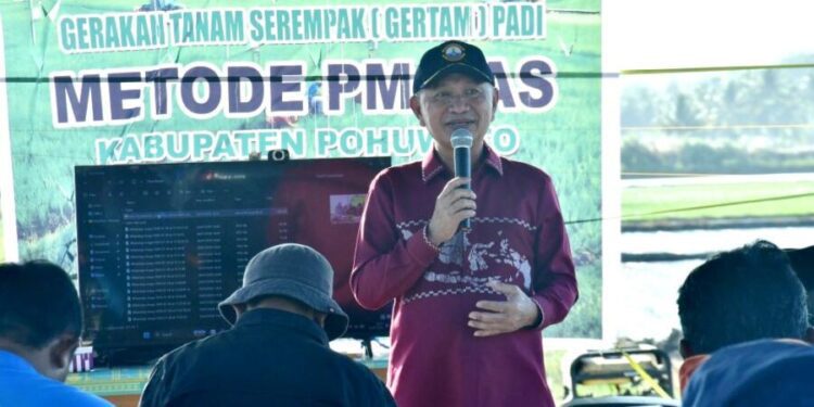 Bupati Pohuwato, Saipul Mbuinga, saat memberikan sambutan gerakan tanam serempak padi metode PM-AAS, Kamis (30/07/2026) (Prokopim Pohuwato)