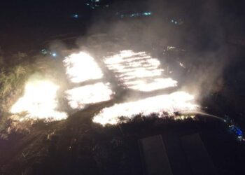 Kebakaran tumpukan kayu. Foto istimewa