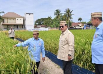 Kunjungan Presiden Prabowo ke Gorontalo pada PENAS belum lama ini. (Dok Foto Kementerian Sesneg)