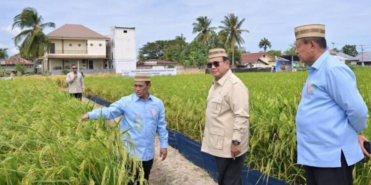 Kunjungan Presiden Prabowo ke Gorontalo pada PENAS belum lama ini. (Dok Foto Kementerian Sesneg)