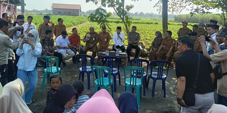 Bupati Jember Muhammad Fawait menyapa warga di desa Wonojati